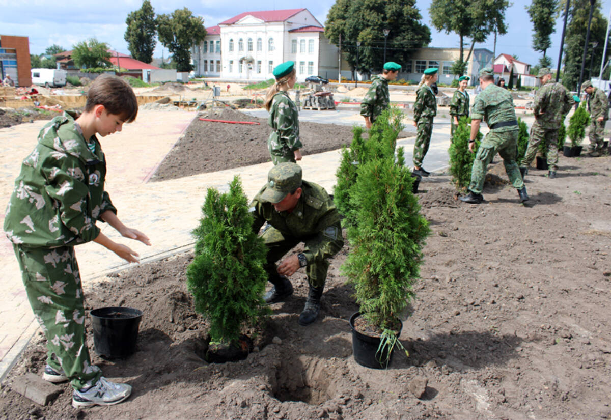 В Стародубе, что на Брянщине, высадили туи в сквере «40 лет Победы»