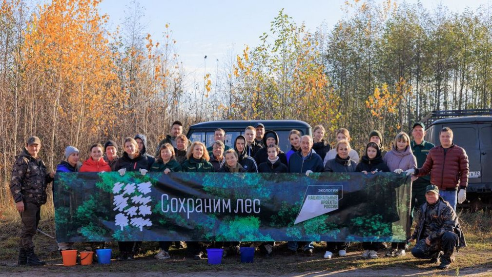 На Брянщине прошло заключительное мероприятие Всероссийской акции «Сохраним лес»