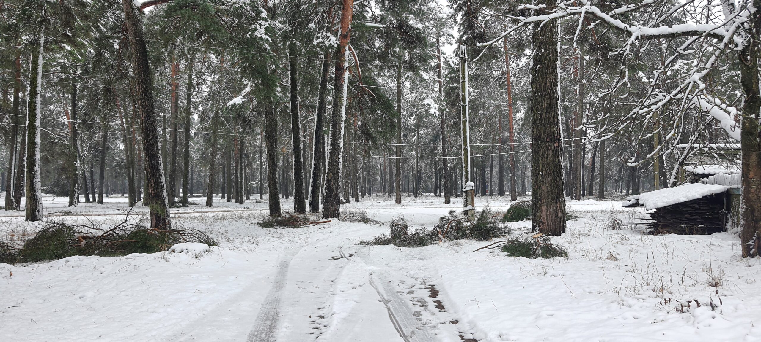 В Сельцо в выходные оперативно ликвидировали последствия сильного снегопада