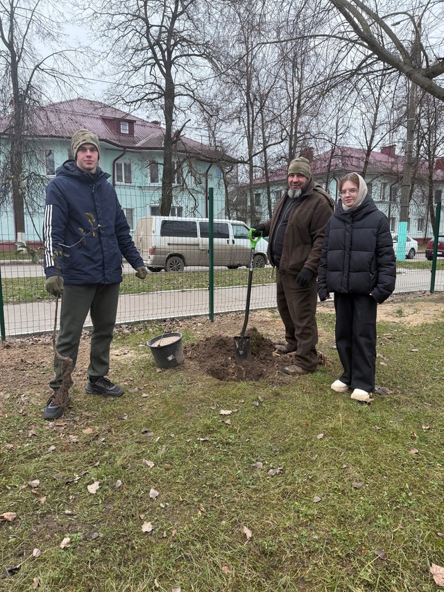 На территории школы №1 города Сельцо высадили саженцы