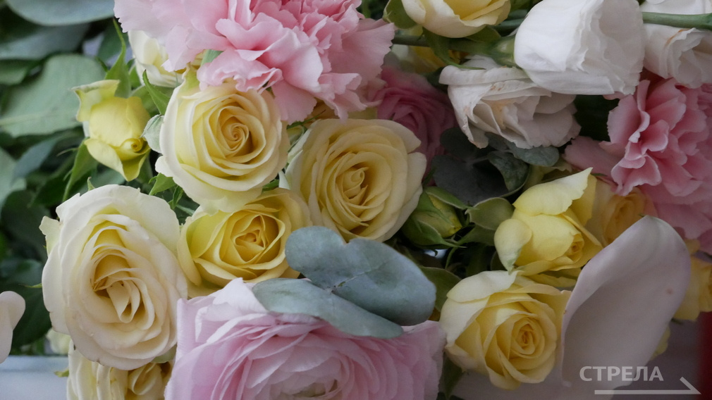 Проект «Герои Брянщины» получил президентский грант