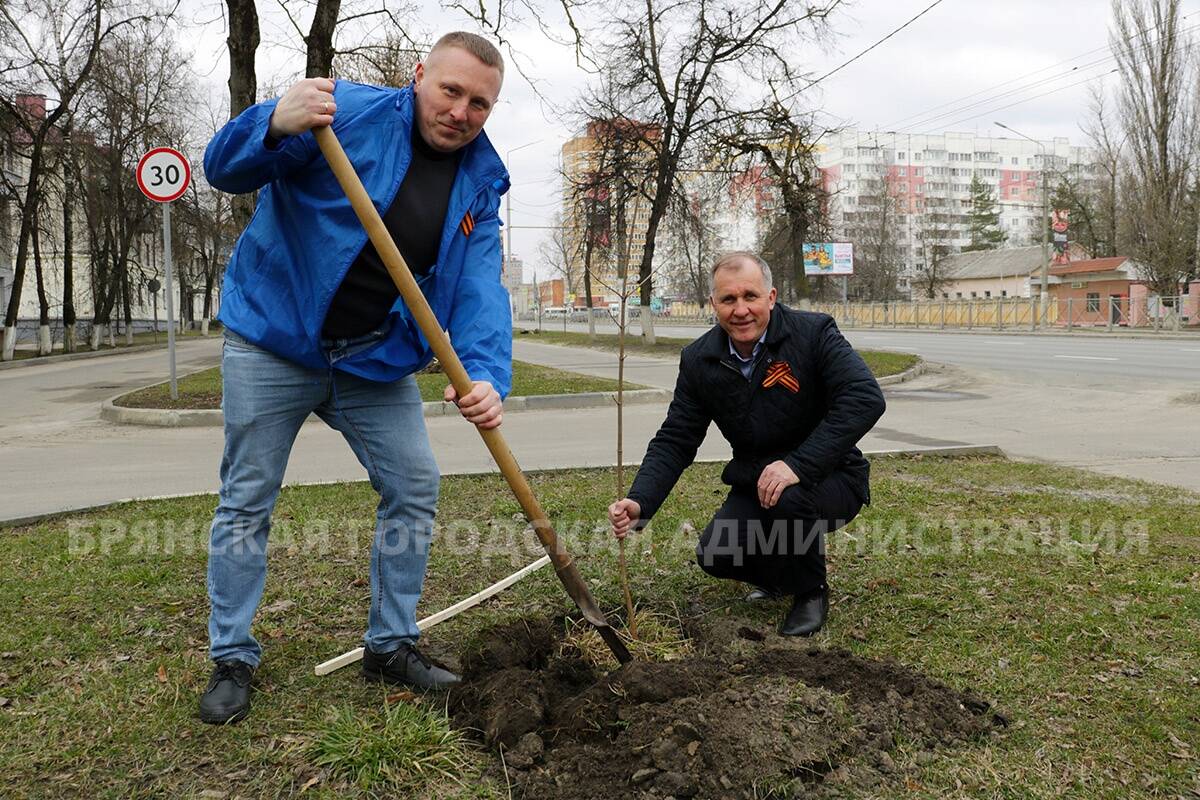 В городе Брянске посадили 80 молодых деревьев