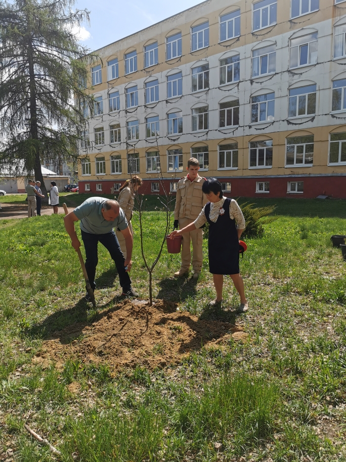 В честь юбилея Победы на территории Сельцовской горбольницы высажена фруктовая аллея