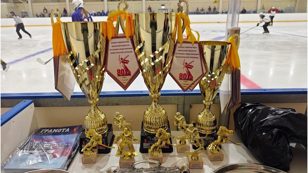 В брянском Стародубе впервые Кубок губернатора по хоккею разыграли женские команды