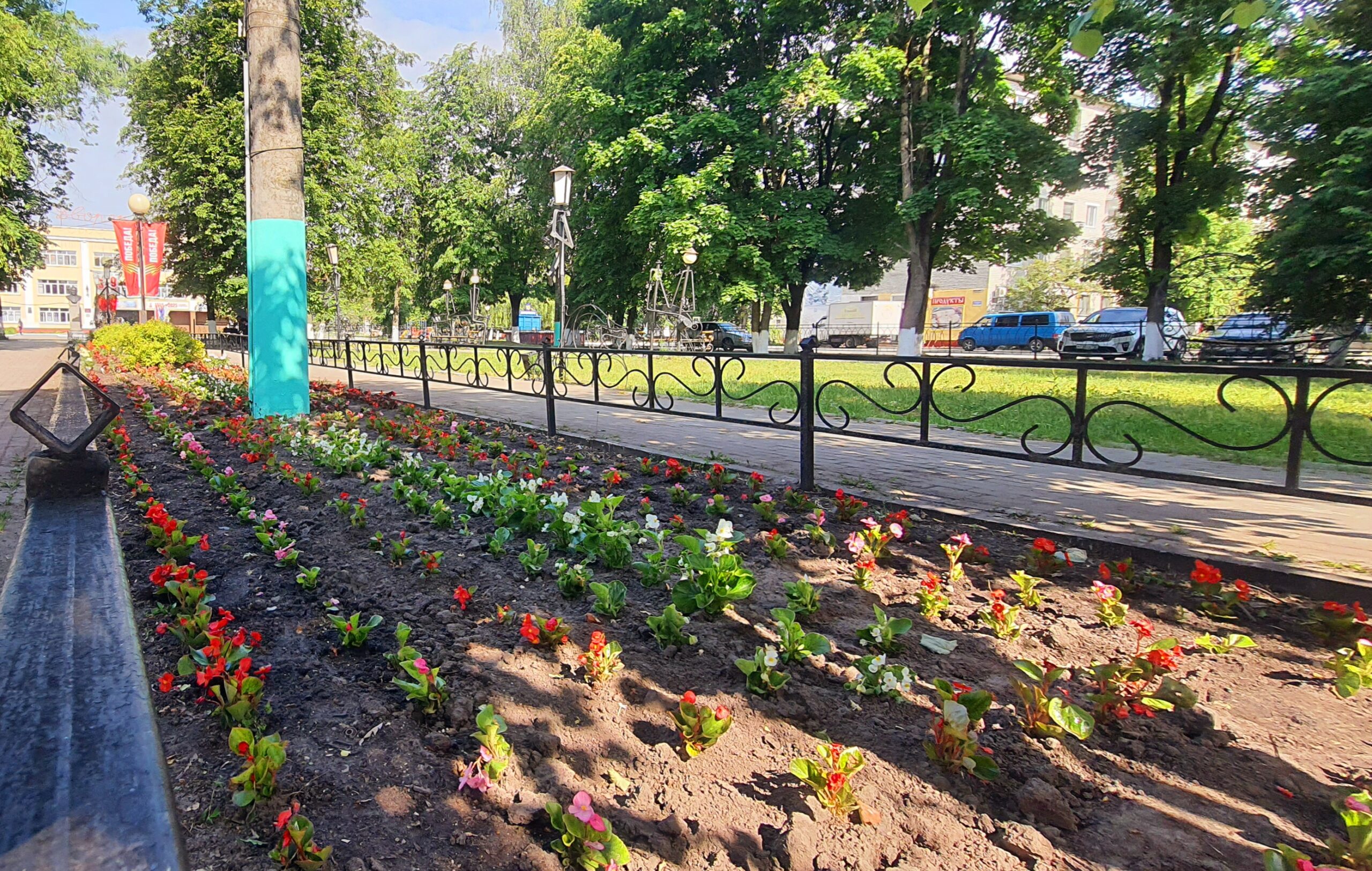 В Сельцо городской сквер и площадь украсили высаженные цветы
