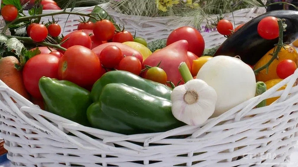 На Брянщине 12 июля продолжат функционировать ярмарки выходного дня