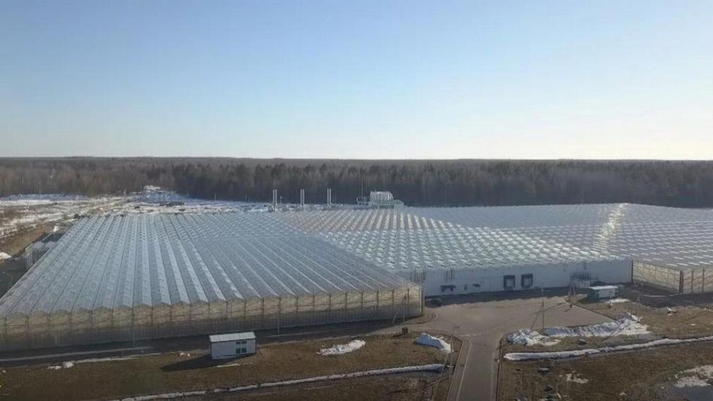 679 новых объектов подключили к электросетям специалисты «Брянскэнерго» в первом полугодии 2025 года