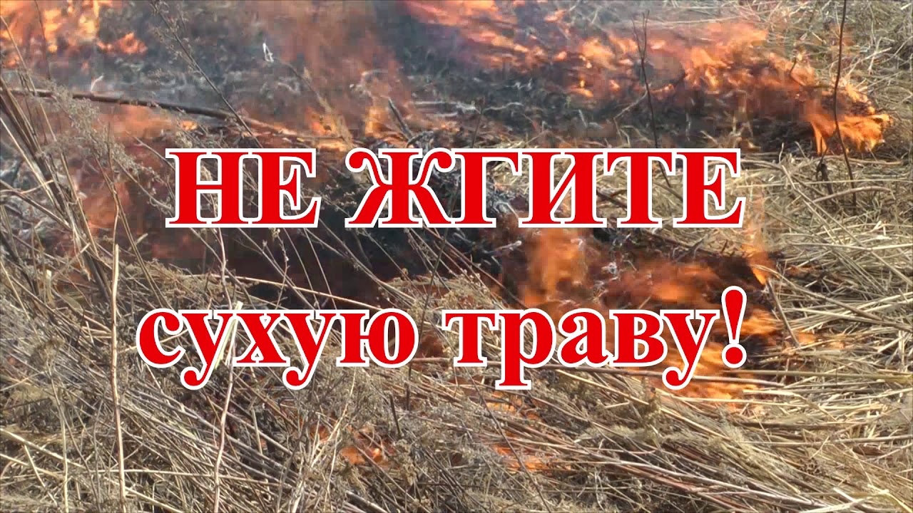 Соблюдайте требования пожарной безопасности