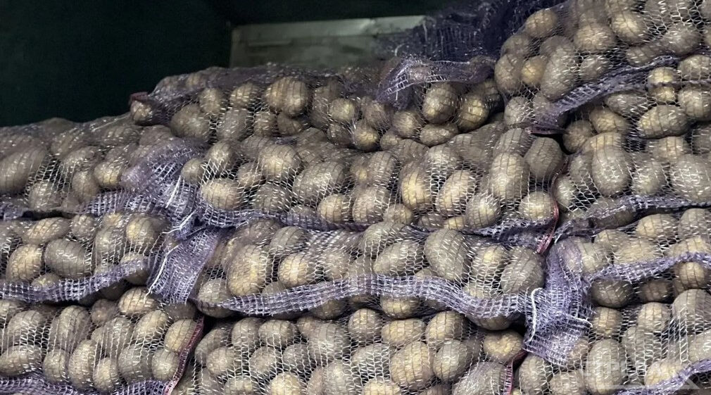 В Брянске на ярмарках выходного дня предлагают сельхозпродукцию по доступным ценам