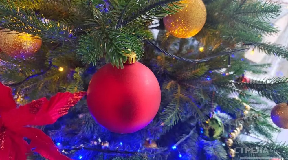 C 11 декабря на Брянщине стартует акция «Елка желаний»