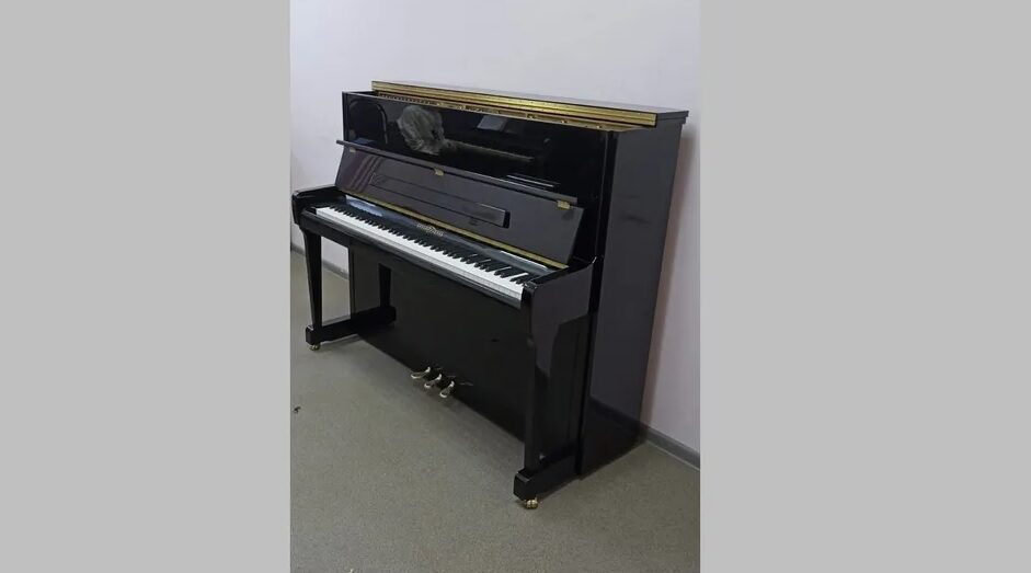 На Брянщине поставили новые музыкальные инструменты в Клинцовскую ДШИ им. Беляева