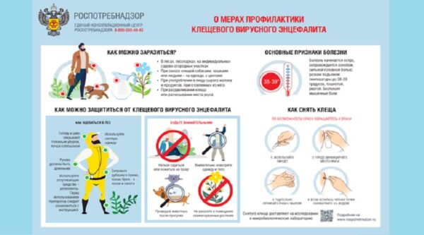 Брянцам напомнили о вакцинации от клещевого энцефалита в преддверии весны