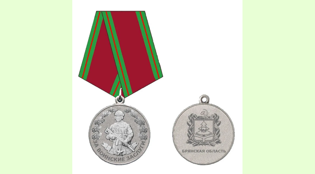 На Брянщине учредили памятную медаль «За воинские заслуги»