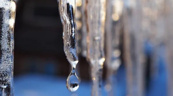 Весенний обман: почему +4 опаснее мороза