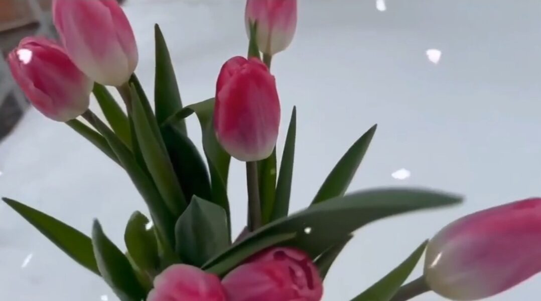 В Сельцо поздравили матерей и жен защитников Отечества