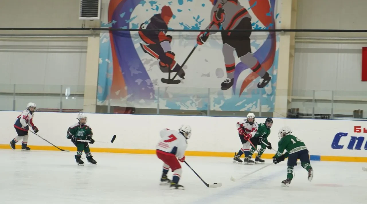 Подведены итоги Кубка Губернатора Брянской области по хоккею среди юношей