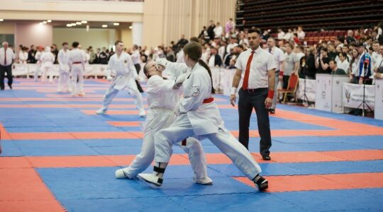 Команда Брянской области стала бронзовым призером Первенства России по всестилевому каратэ