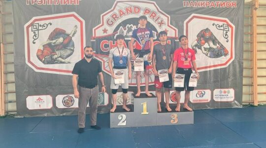 Брянцы завоевали медали соревнований по ММА в Орле