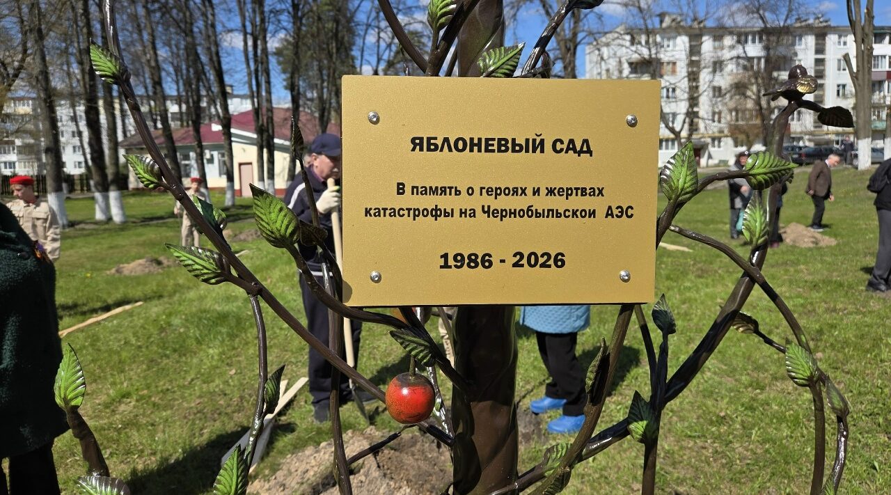 В Сельцо высадили деревья в память о героях и жертвах катастрофы на ЧАЭС
