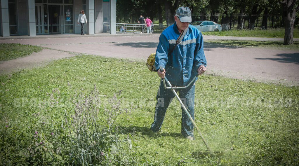 За выходные в Брянске скосили более 115 тысяч квадратных метров травы