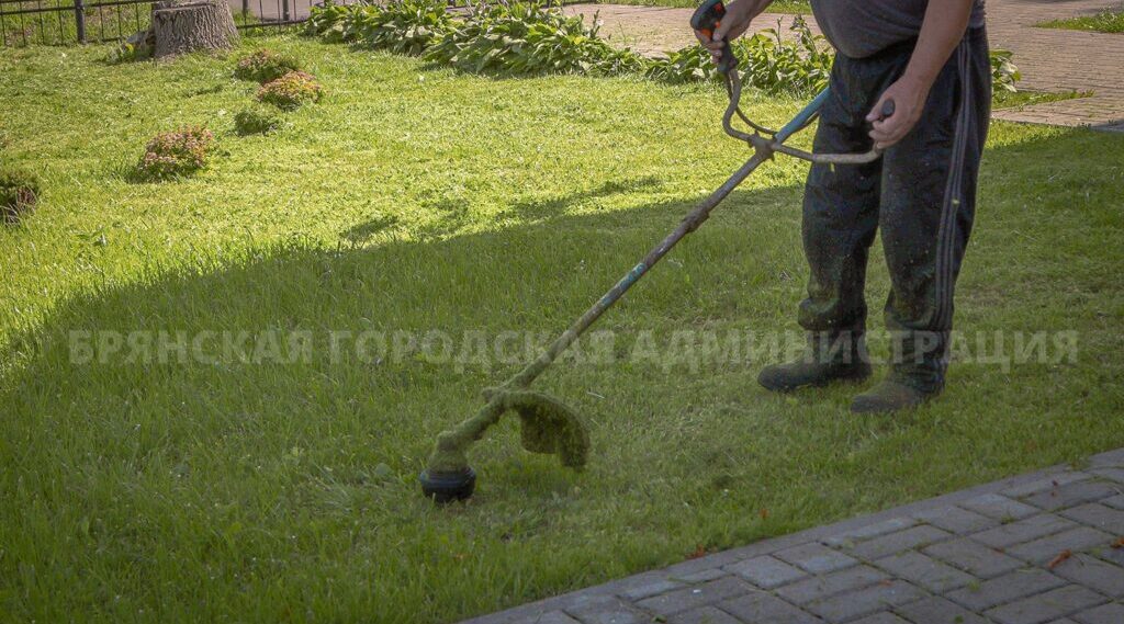 За сутки в Брянске покосили более 87 тысяч кв.м травы