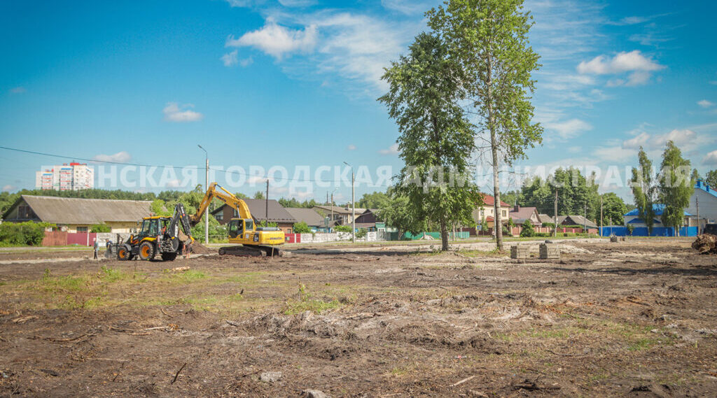 В парке «Олимпийский» высадят более полутысячи молодых растений