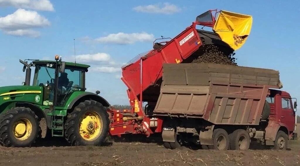 На Брянщине практически завершена уборка зерновых, зернобобовых культур и рапса